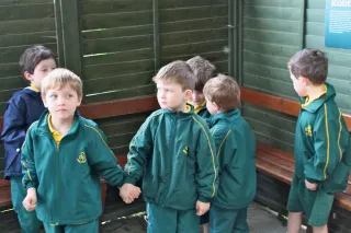 Junior Infants school trip to Glenroe farm