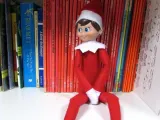 Holly the Elf on the Shelf