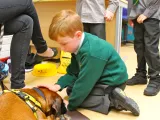 Dogs Trust visit