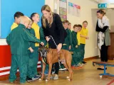 Dogs Trust - 3rd Classes