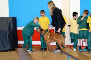 Dogs Trust - 3rd Classes