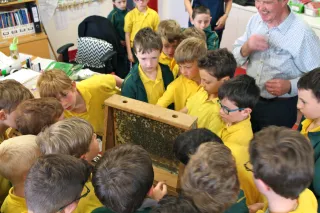Beekeeper visits 1st and 2nd Classes