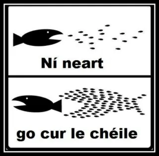 Ní neart go cur le chéile