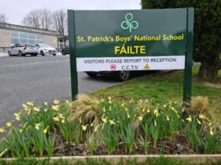 Daffodils Front Gate