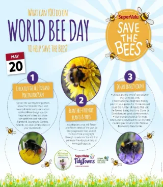 World bee day