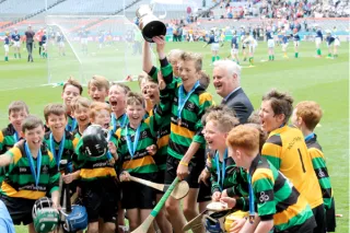 Croke Park Win