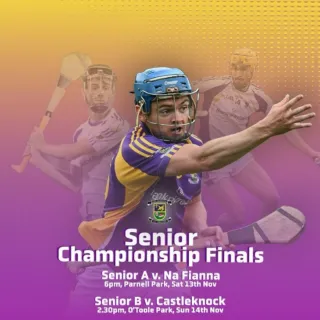 Kilmacud Crokes Senior Championship Finals