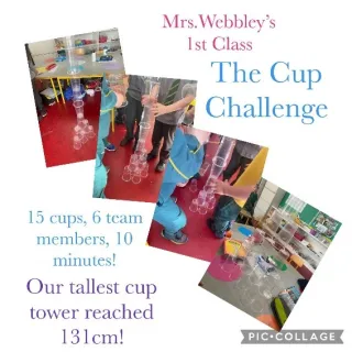 The cup challenge photograph 