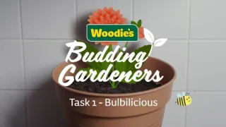 Woodies Budding Gardeners