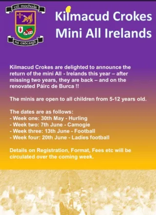 Poster Kilmacud Crokes 