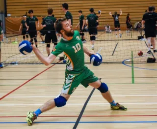 Image Dodgeball